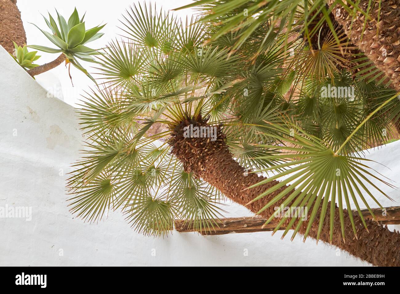 museum Lagomar Kanarische Insel Stockfoto