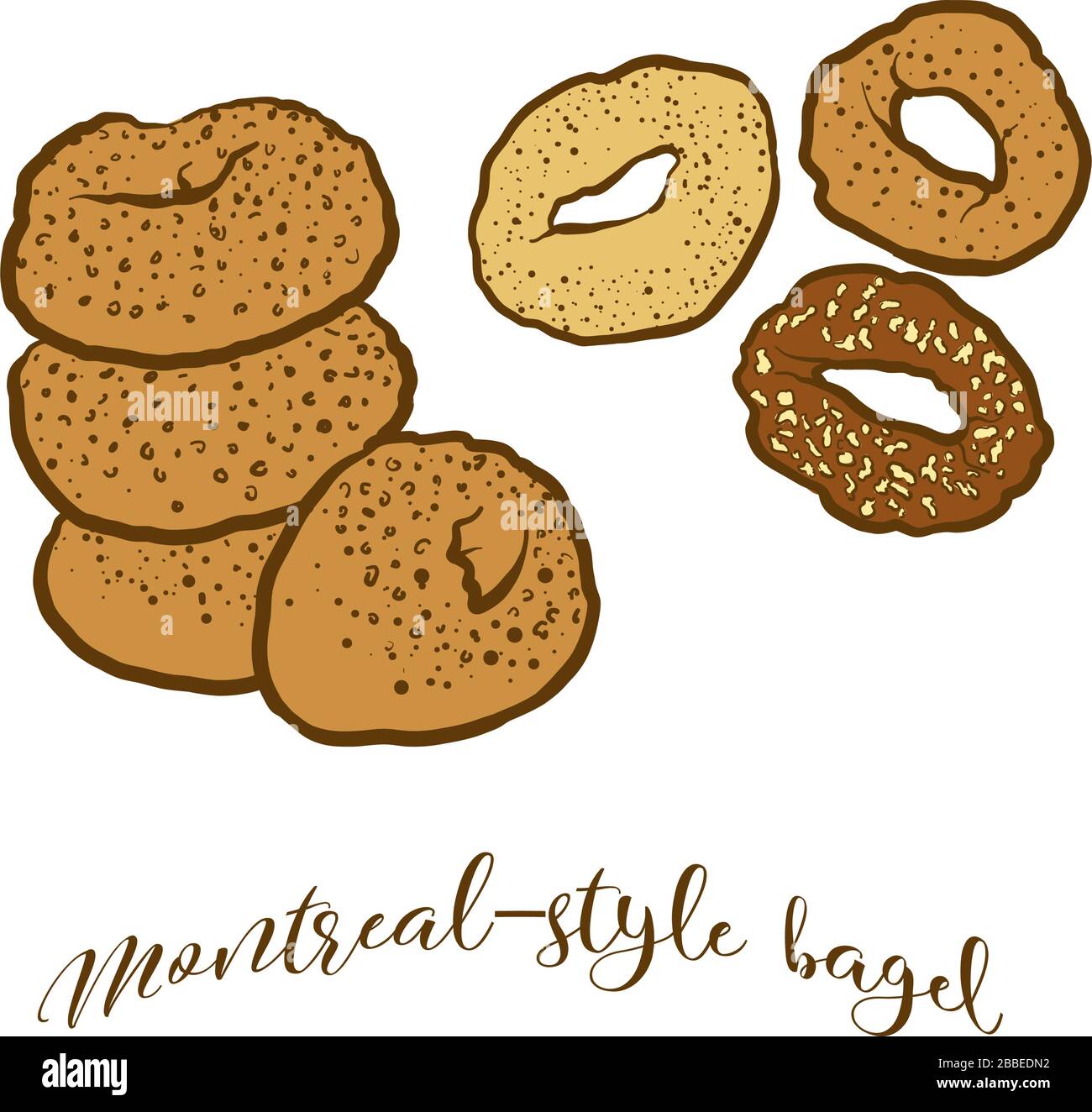 Farbige Zeichnung von Bagelbrot im Montrealer Stil. Vektorgrafiken von Hefebrot, die normalerweise in Kanada bekannt sind. Bunte Brotskizzen. Stock Vektor