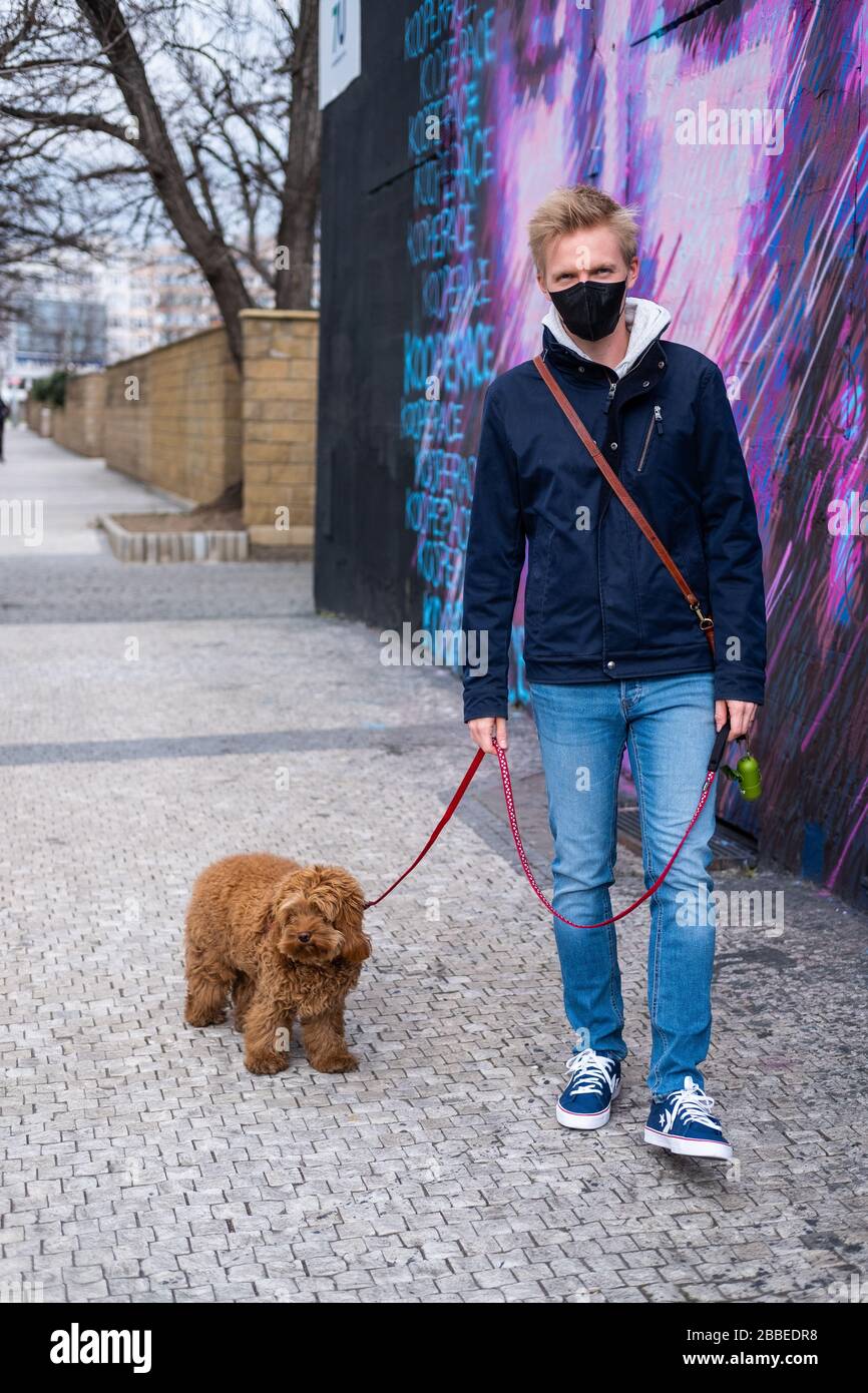 Mann läuft Hund mit Gesichtsmaskenschutz Stockfoto