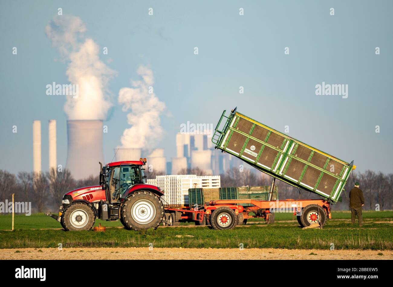 Traktor arbeitet im Frühjahr auf einem Feld, Kartoffelanpflanzmaschine, Aussaatkartoffeln, Braunkraftwerk Neurath, rheinisches Braunbaugebiet, Deutschland Stockfoto