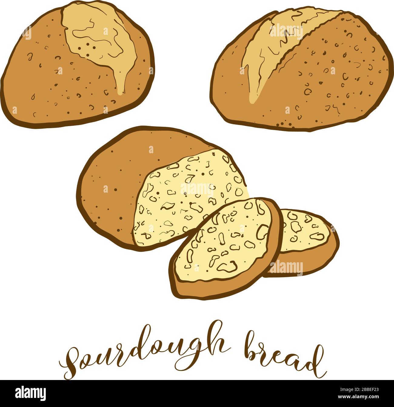 Farbige Zeichnung von Sourteigbrot. Vektordarstellung von Sourdeig-Lebensmitteln, die normalerweise im Fertile Crescent bekannt sind. Bunte Brotskizzen. Stock Vektor