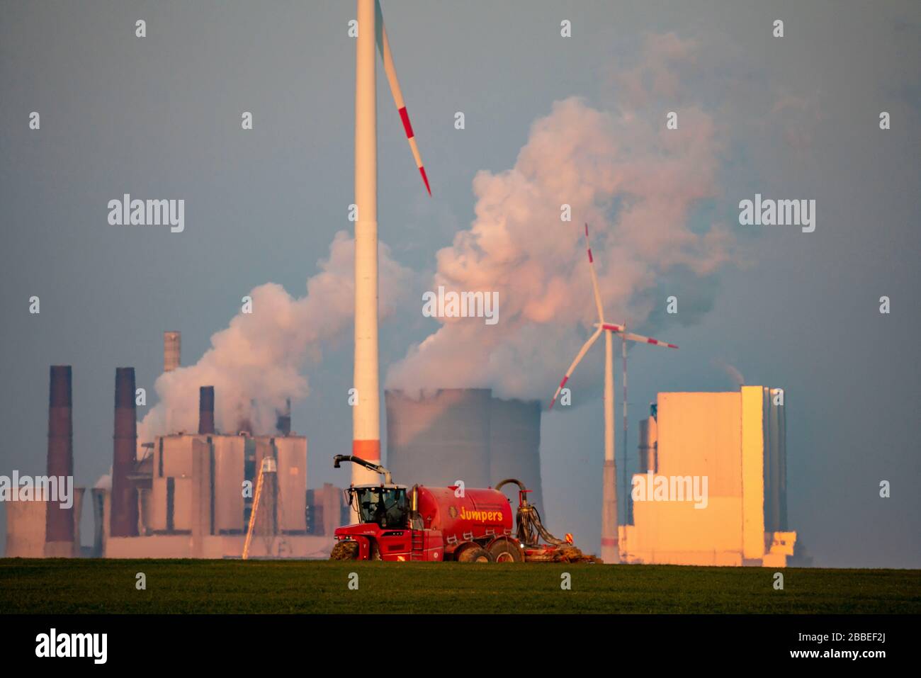 Traktor, der im Frühjahr ein Feld arbeitet, Gärrückstände, Restslurry aus Biogasanlagen, auf Getreidefeldern, rheinischem Braunfeld, Ligni Stockfoto