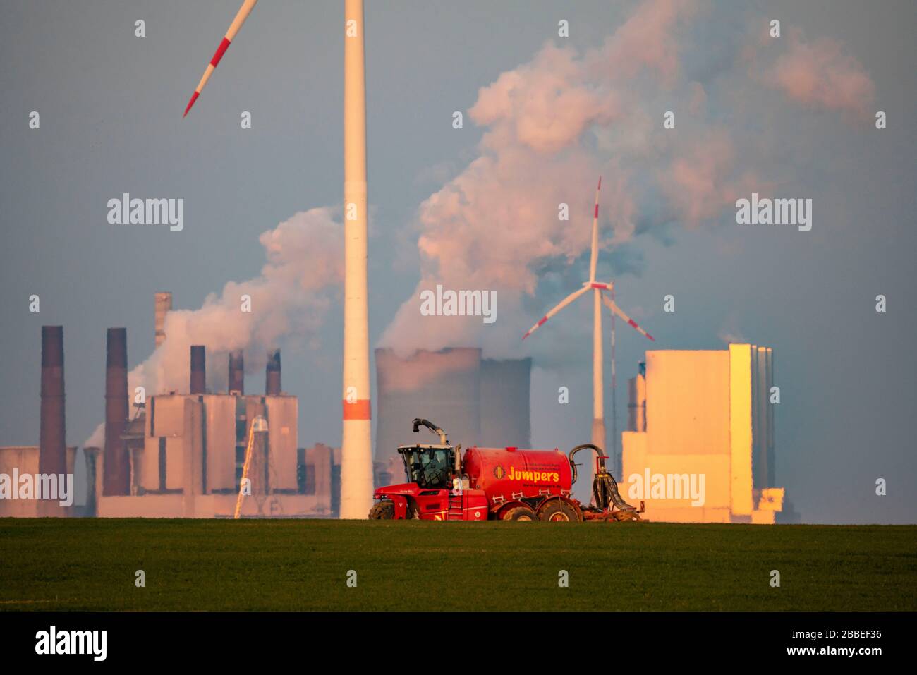 Traktor, der im Frühjahr ein Feld arbeitet, Gärrückstände, Restslurry aus Biogasanlagen, auf Getreidefeldern, rheinischem Braunfeld, Ligni Stockfoto