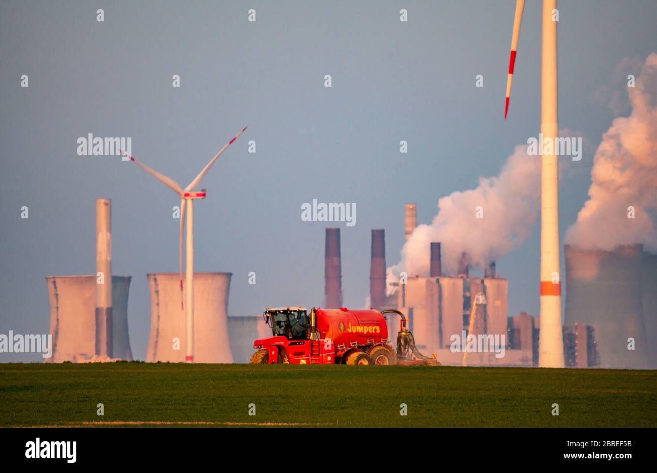 Traktor, der im Frühjahr ein Feld arbeitet, Gärrückstände, Restslurry aus Biogasanlagen, auf Getreidefeldern, rheinischem Braunfeld, Ligni Stockfoto