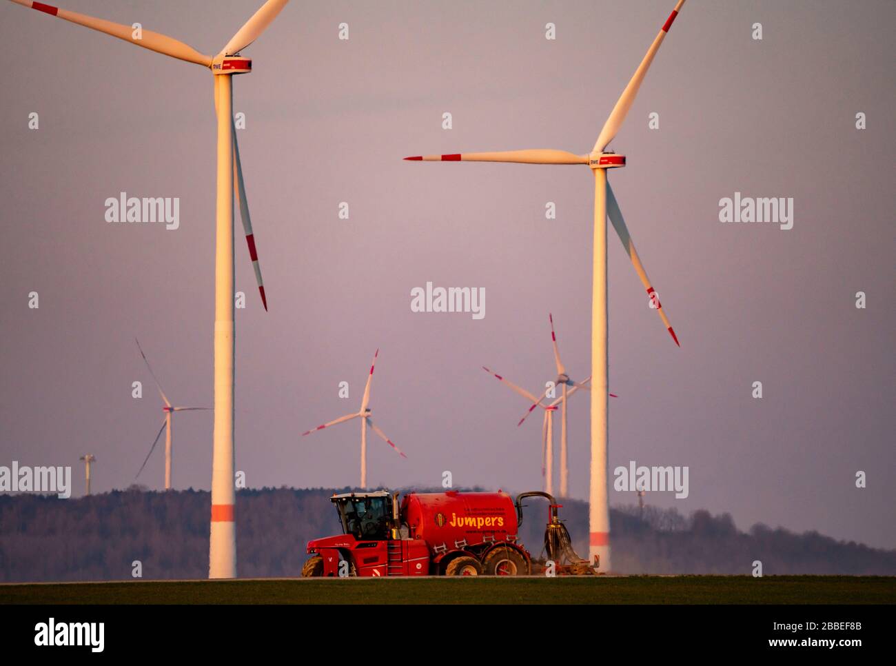Traktor, der im Frühjahr ein Feld arbeitet, Gärrückstände, Restslurry aus Biogasanlagen, auf Getreidefeldern, rheinisches Braunfeld, Germa Stockfoto