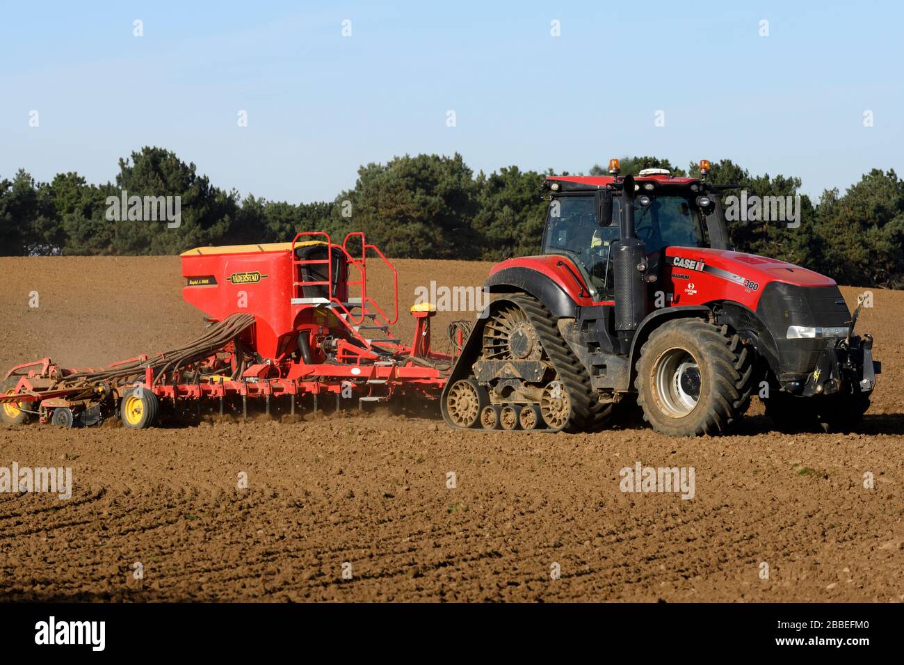 Bohren Sie während des Lockdowns, Bawdsey, Suffolk, Großbritannien, einen Erbsenanbau. Stockfoto