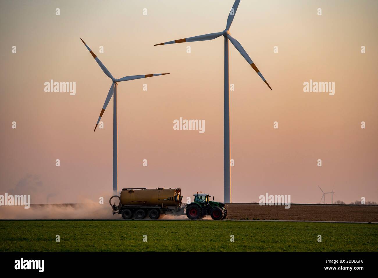 Traktor, der im Frühjahr ein Feld arbeitet, Gärrückstände, Restslurry aus Biogasanlagen, auf Getreidefeldern, Deutschland Stockfoto