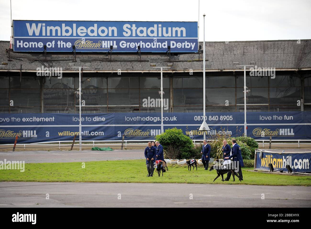 Hunde werden vor Beginn des Rennens im Wimbledon Stadium spazieren gehen Stockfoto