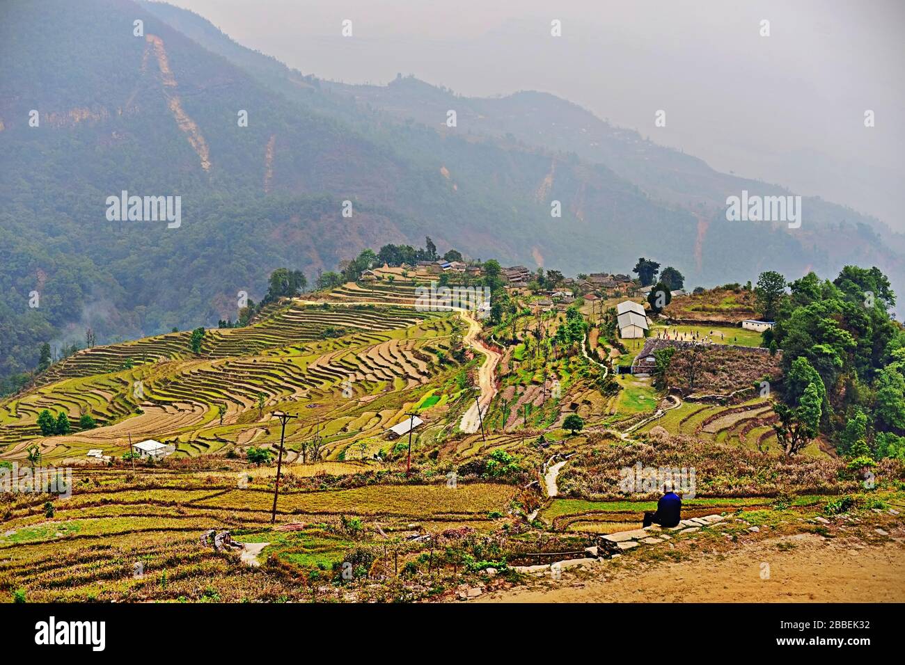 Reisterrassen mit Panchase Bergregion im Hintergrund. Stockfoto