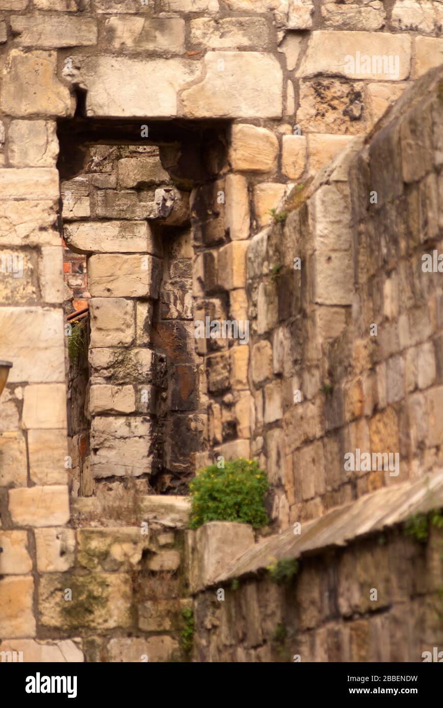 Ruinen von Abbey Walls, York Stockfoto