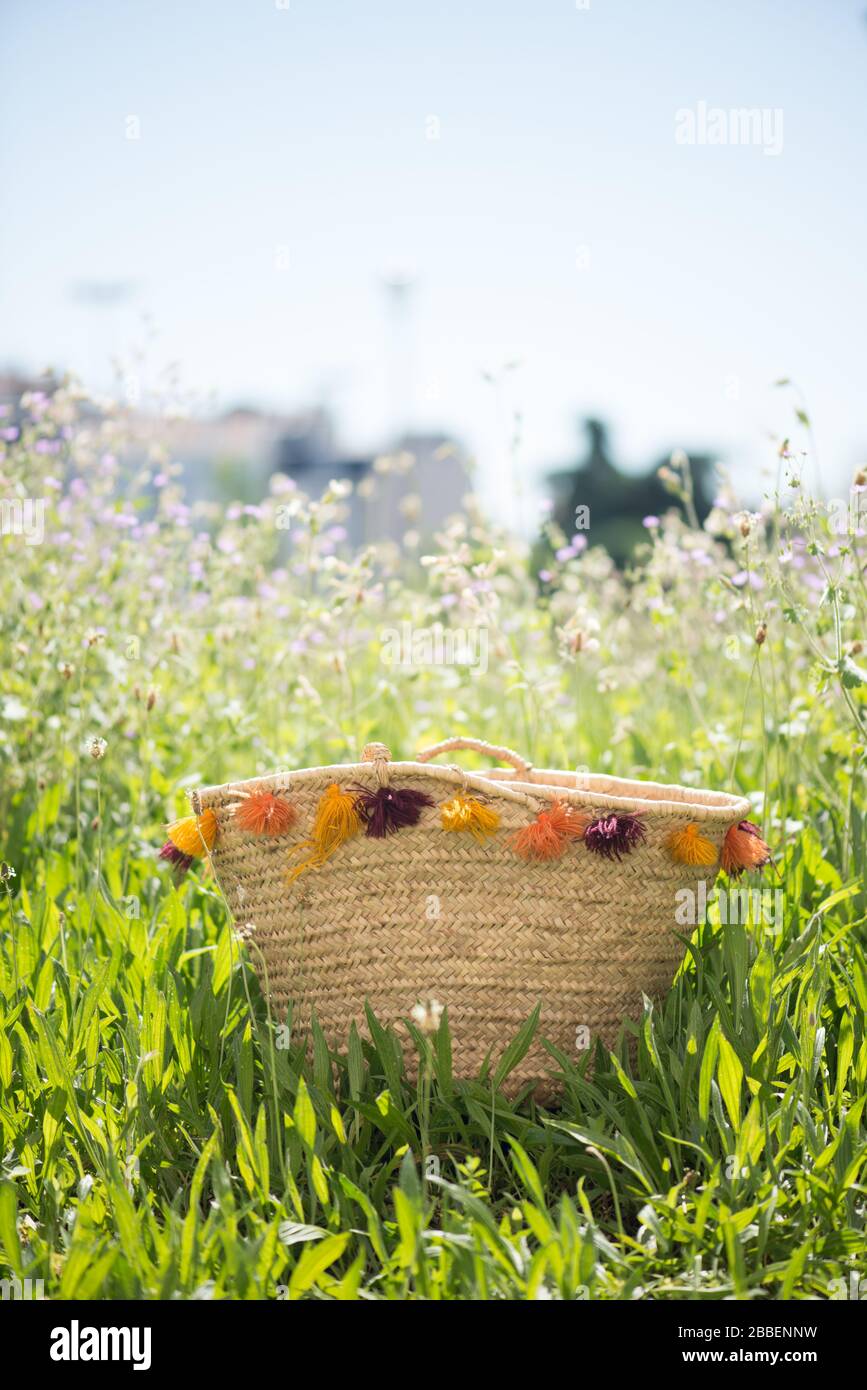 Korb auf einem Quellgarten, unter einem sonnigen Tag. Stockfoto