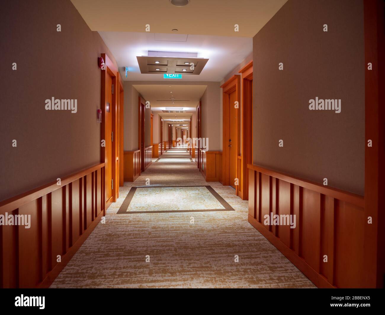 Langer, leerer flur mit teppichboden im Inneren eines modernen Hotels, das von Holztüren flankiert wird Stockfoto