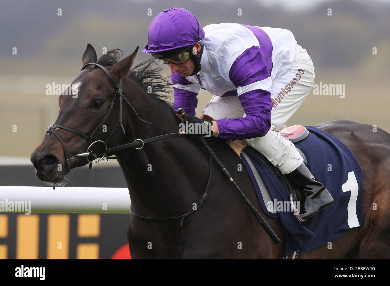 Rennsieger Cogito von Martin Dwyer auf dem Weg zum Sieg in den Alex Scott Maiden Stakes (Colts & Geldings) Stockfoto