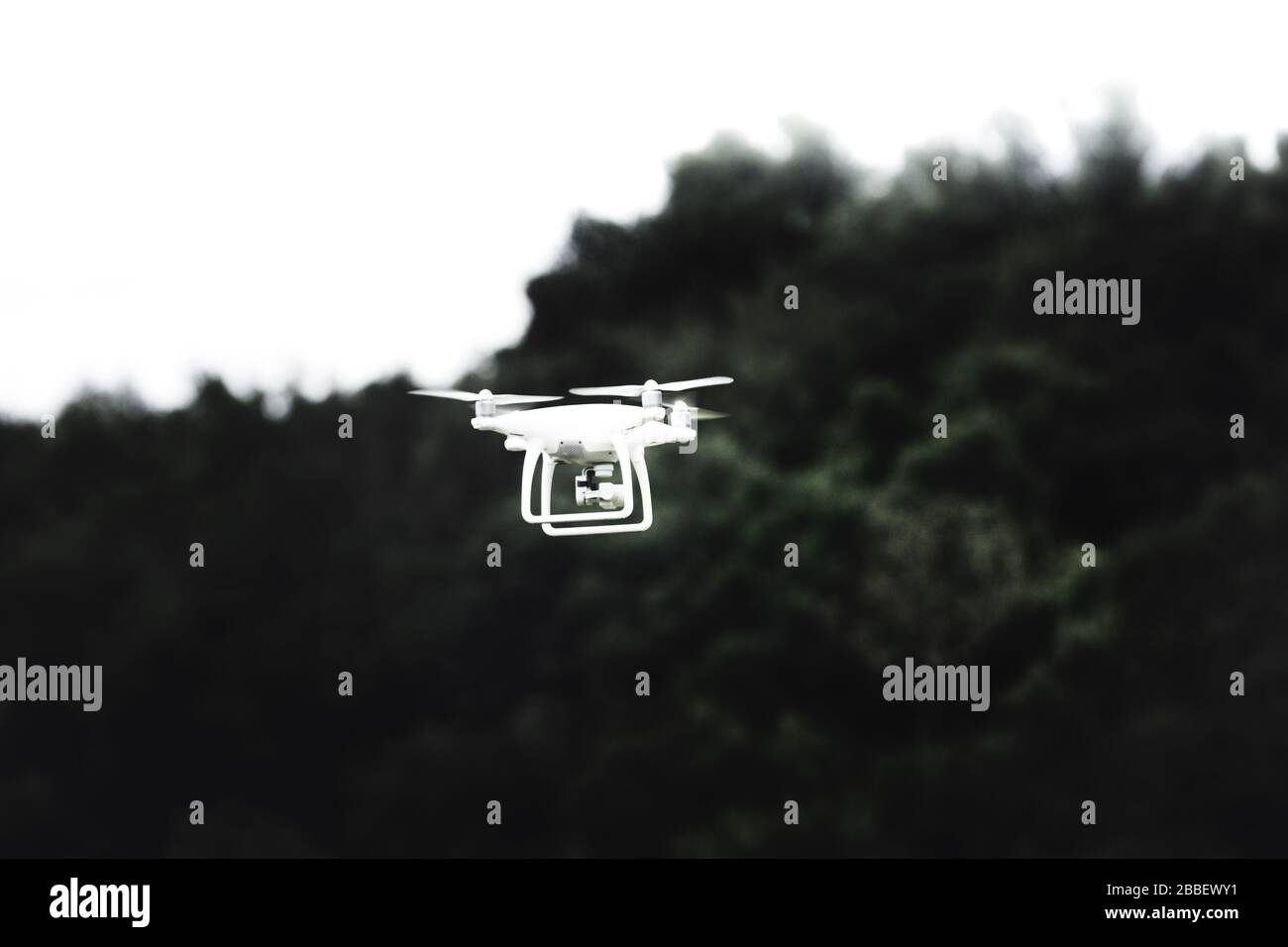 Drohne, die über einen Wald fliegt Stockfoto