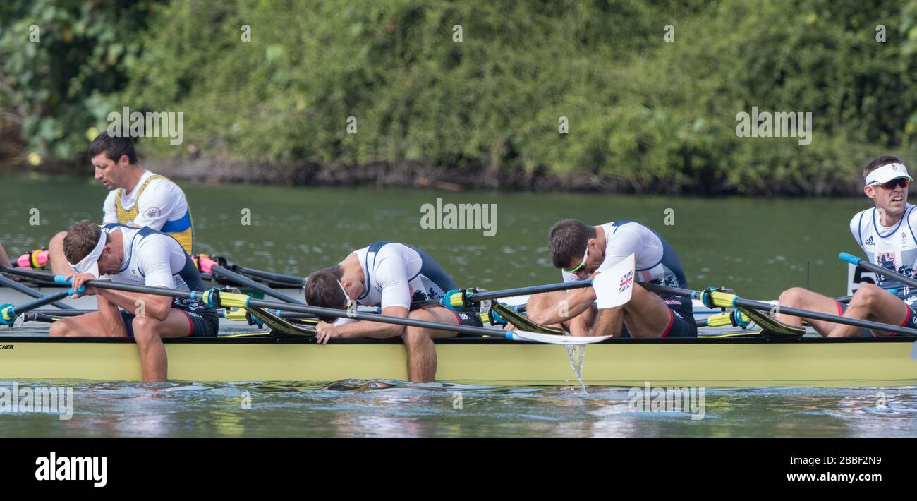 Rio de Janeiro. BRASILIEN. GBRM4X. Schleife. Jack BEAUMONT, San TOWNSEND, Angus GROOM und Pete LAMBERT, 2016 Olympic Rowing Regatta. Lagoa Stadium, Copacabana, "Olympische Sommerspiele" Rodrigo de Freitas Lagune, Lagoa. Lokale Zeit 10:18:37 Donnerstag 08.11.2016 [obligatorische Gutschrift; Peter SPURRIER/Intersport Bilder] Stockfoto