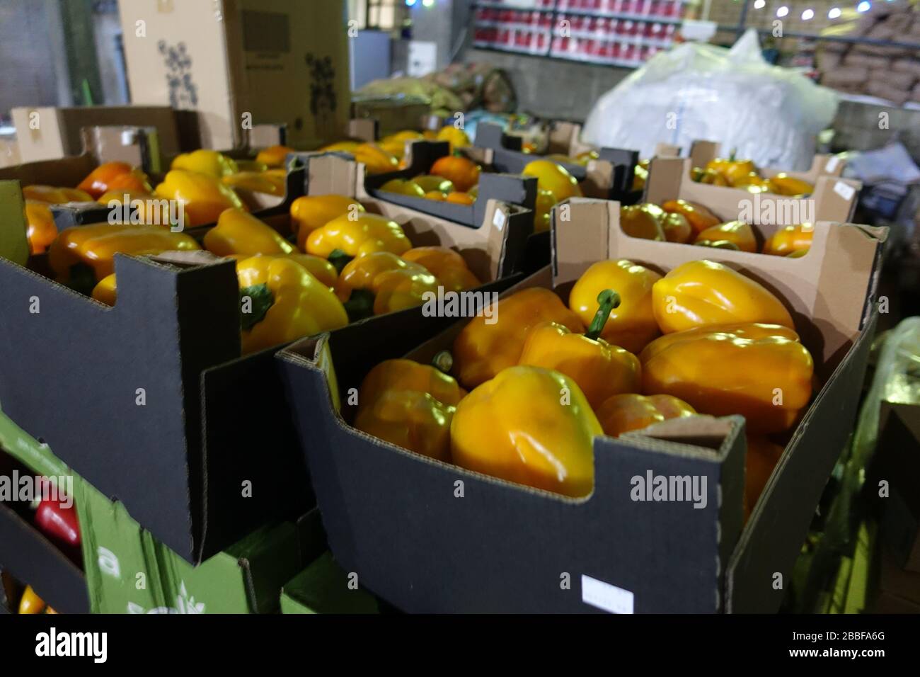 London, Großbritannien. März 2020. Freiwillige im Krishna Castle, Holborn, angeführt von Parasurama das, bereiten am selben Tag etwa 1000 Mahlzeiten für die Verteilung an Londons Obdachlose und verletzliche vor. Einer der Abschlagpunkte für vorgepackte Mahlzeiten ist ein Platz unterhalb des Tottenham Spurs Stadium, das als Lebensmittel-Drehscheibe genutzt wird, der ersten Community-Drehscheibe, die überschüssige Lebensmittel an die Londoner liefert. © Simon King/Alamy Live News Stockfoto