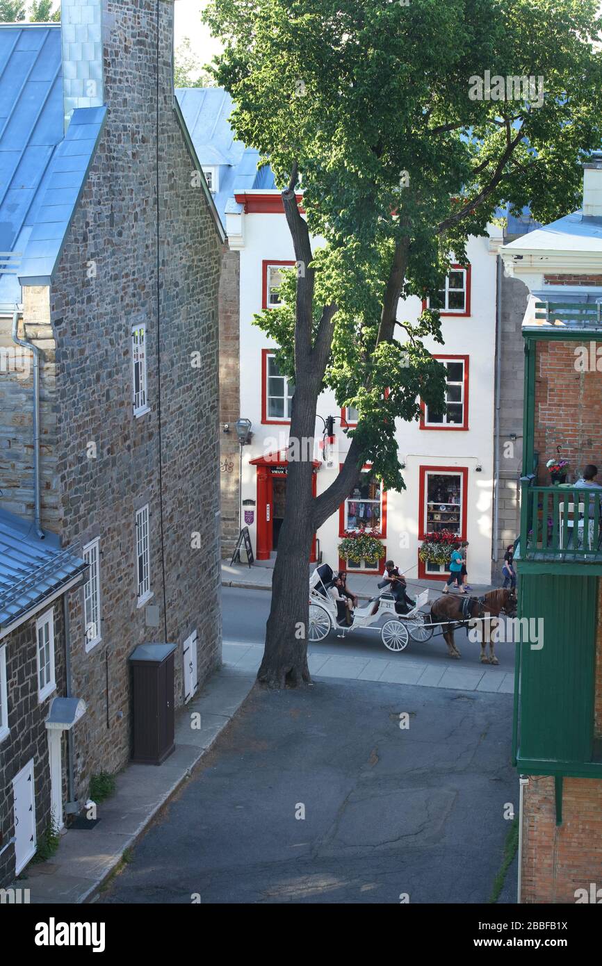 Fahrer eines Kutschens, der die Geschichte hinter einem an der Basis des Baumes eingehüllten Kanonball auf dem Foto in der Rue Saint-Louis im Herzen der Altstadt von Quebec, Provinz Quebec, Kanada erzählt Stockfoto