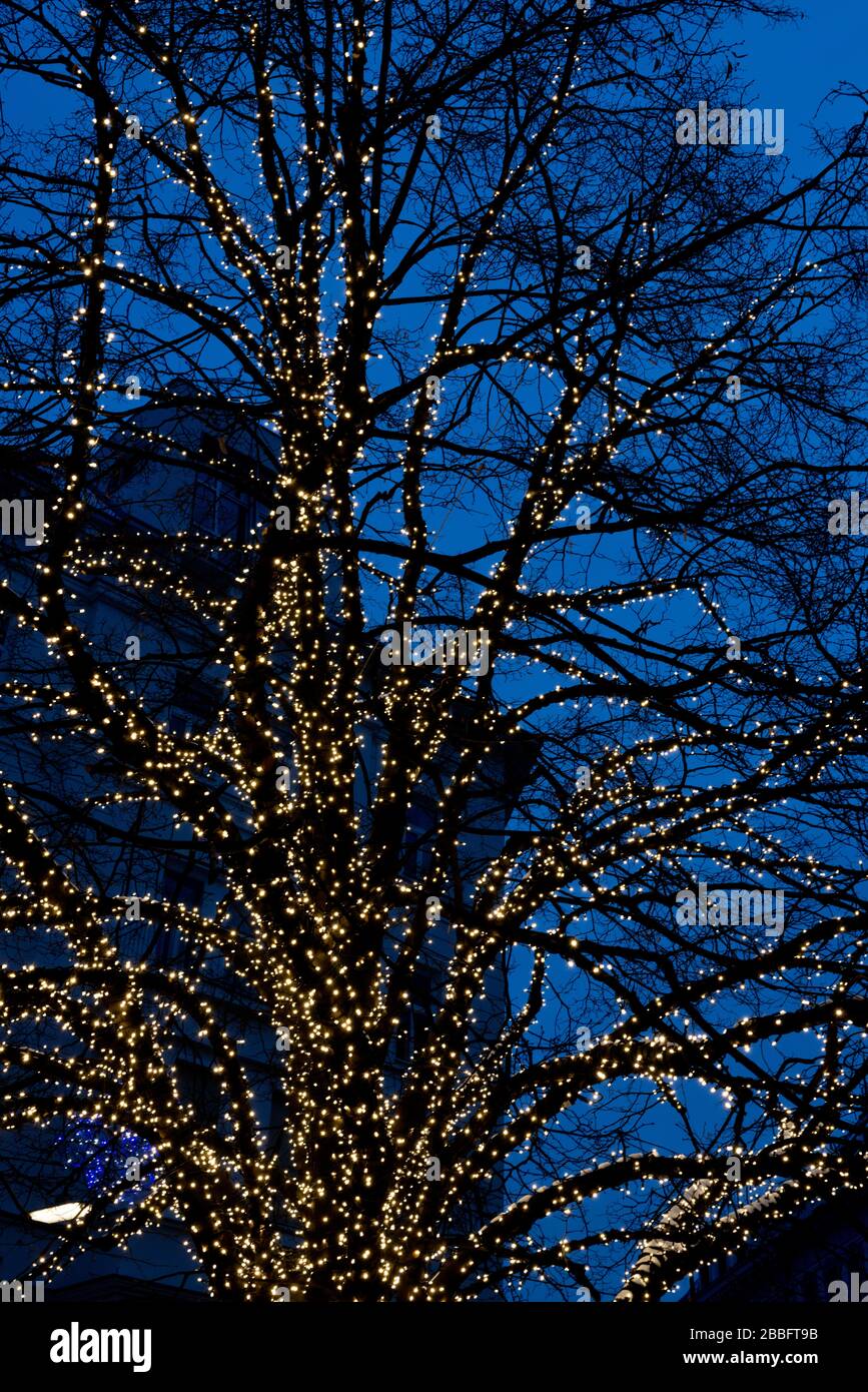 Weihnachtsmarkt vor dem Rathaus von Wien, Rathaus in blauer Stunde, Wien, Österreich Stockfoto