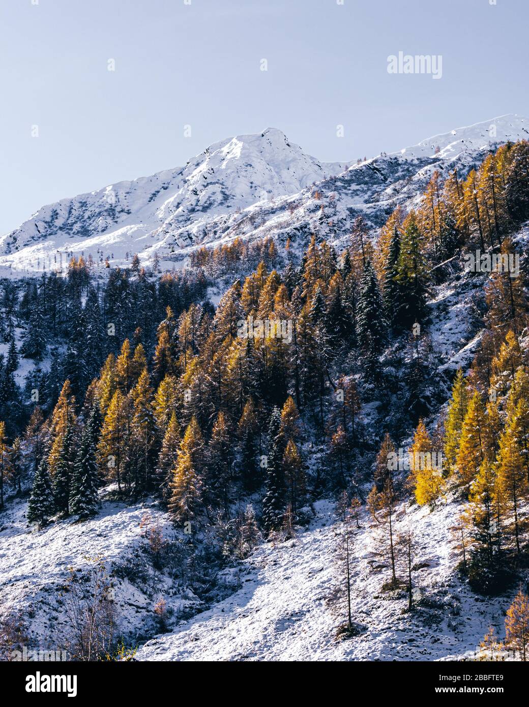 Der Wald und der Blick auf das Tartano-Tal, in der Nähe der Stadt Morbegno, Italien, an einem schönen Wintertag Stockfoto