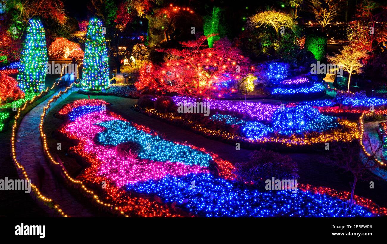 Weihnachten bei den Butchart Gardens, Victoria, Vancouver Island, BC, Kanada Stockfoto