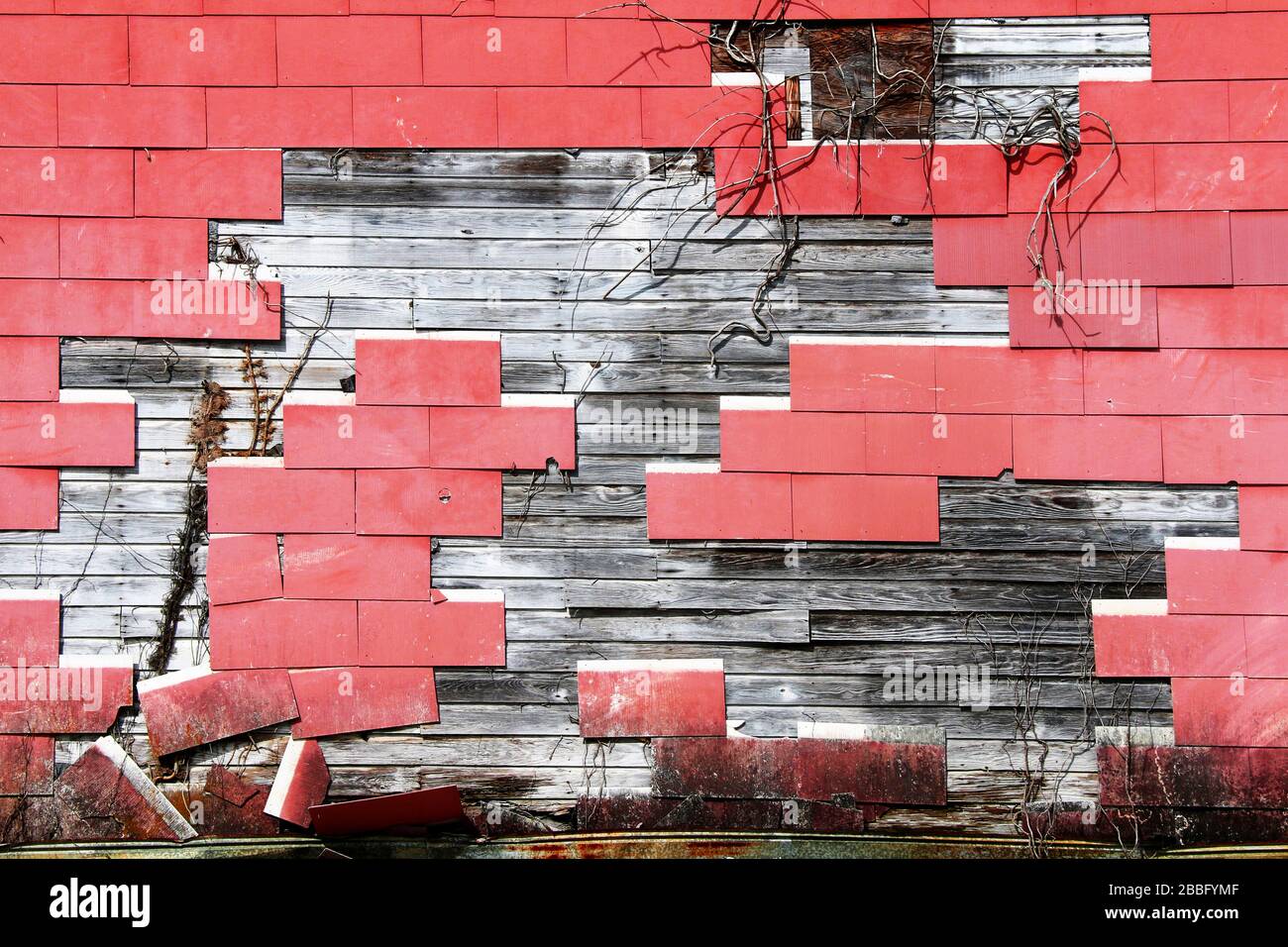 Eine gerissene rote Schindelfliesenlagerwand belichtete verfaultes Holz Stockfoto