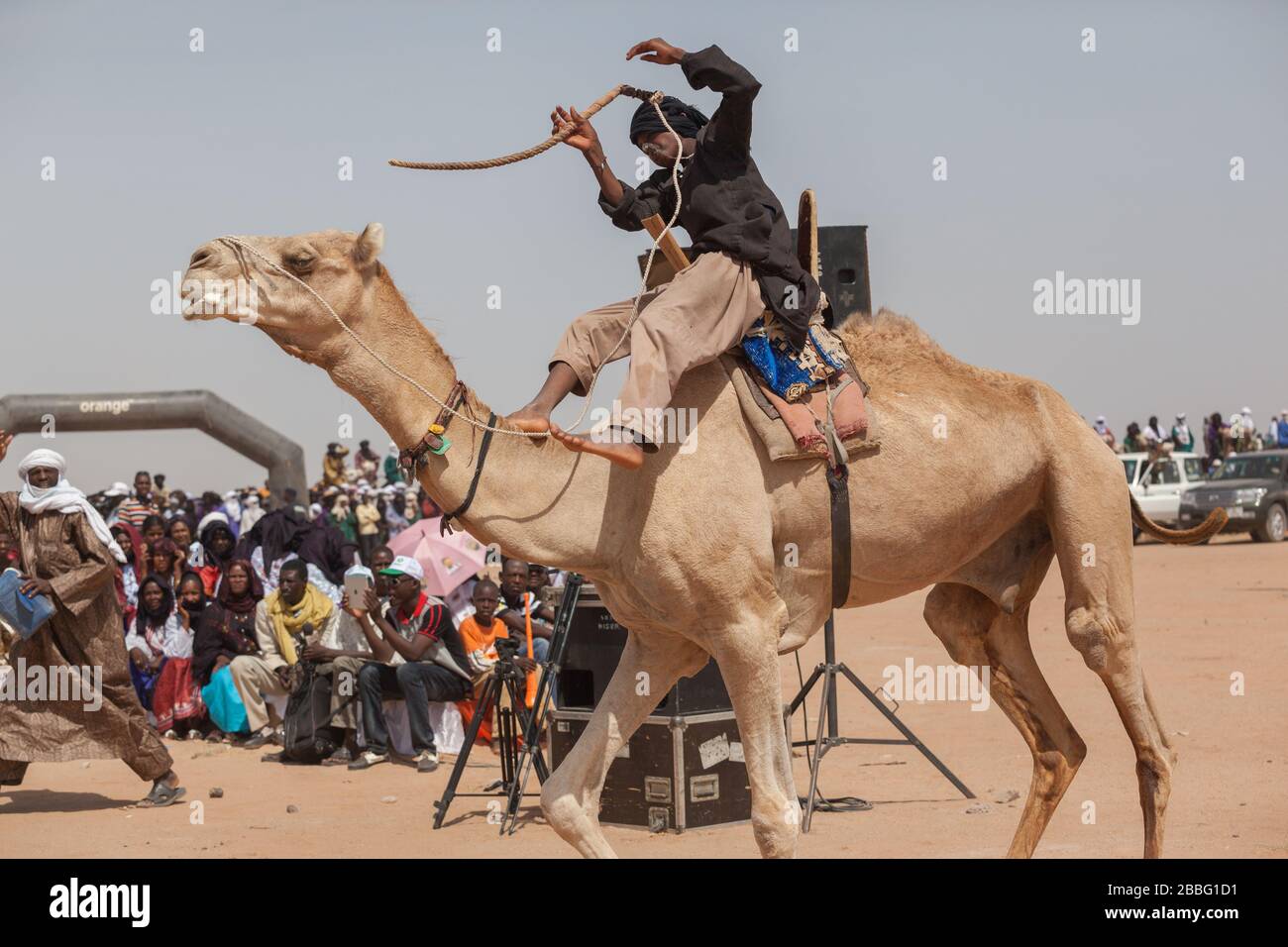 Ingall, Niger : Camalrennen während des Cure Salee Nomadenfestivals Stockfoto