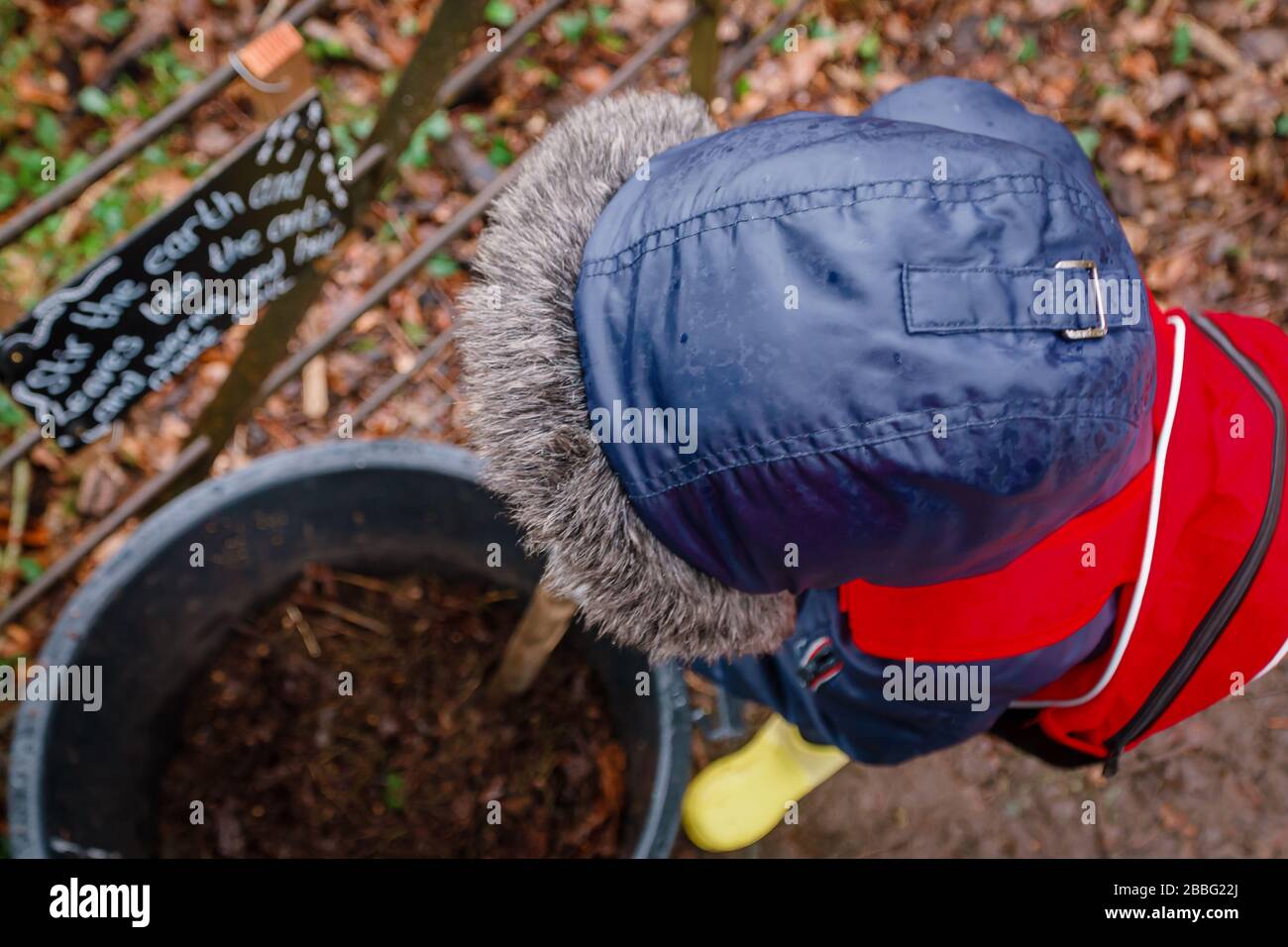 Kaukasischer Junge auf der Suche nach Insekten in einem Wald, Oxfordshire, Großbritannien Stockfoto