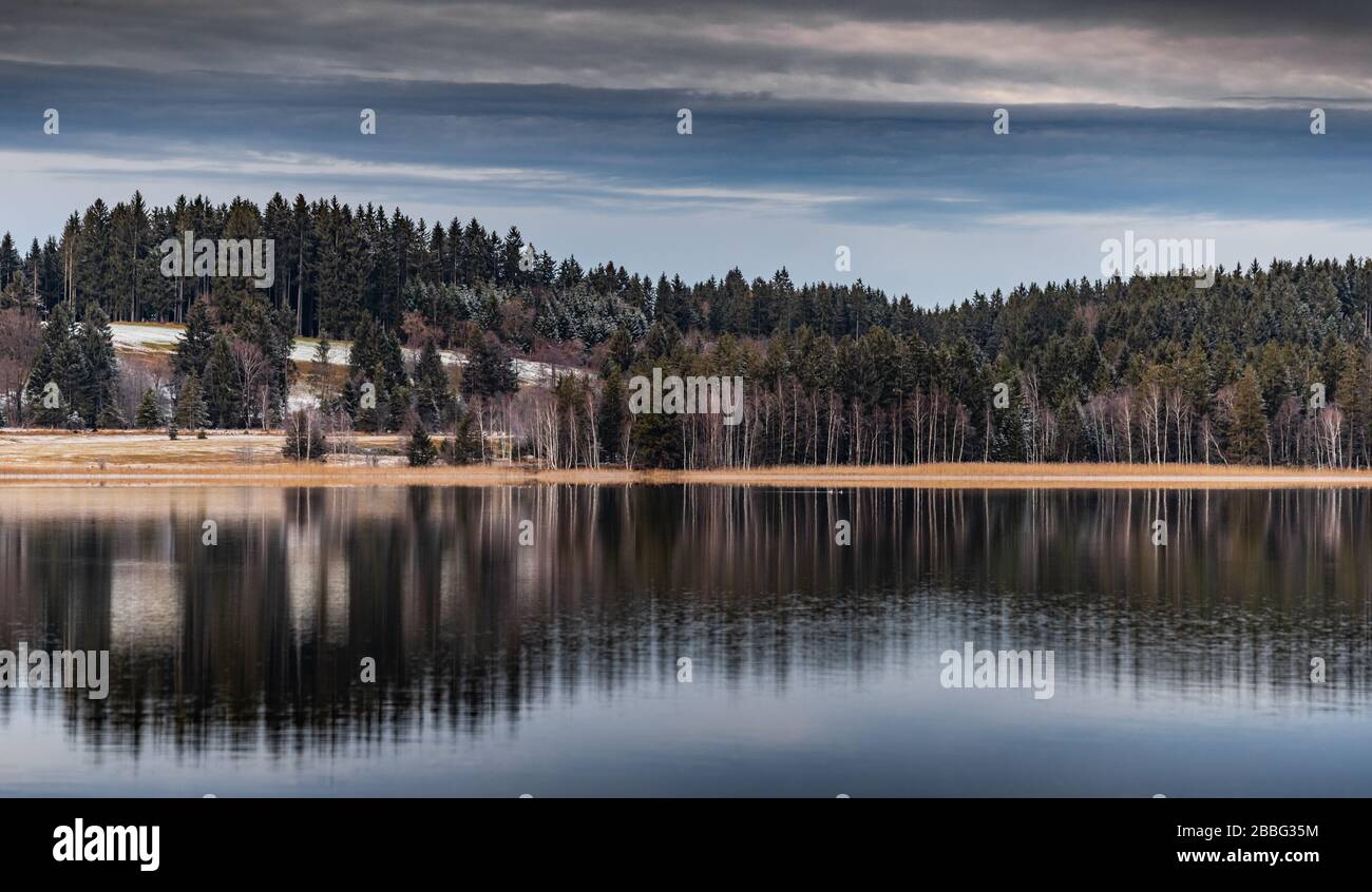 Landschaft einer Spiegelreflexion im See, ein Trockenrasen, ein Rohrstock und schnäppt im Vordergrund, Berge und Wald im Hintergrund, Eis auf Stockfoto