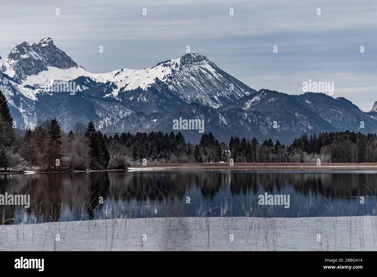 Landschaft einer Spiegelreflexion im See, ein Trockenrasen, ein Rohrstock und schnäppt im Vordergrund, Berge und Wald im Hintergrund, Eis auf Stockfoto