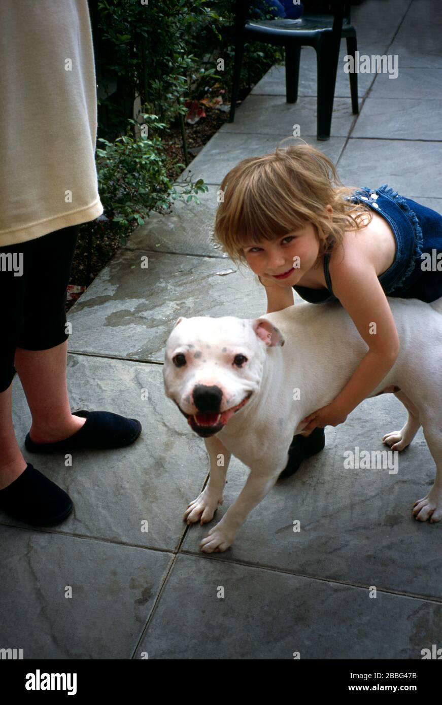 Kind Knudelt Hund Staffordshire Bull Terrier Stockfoto