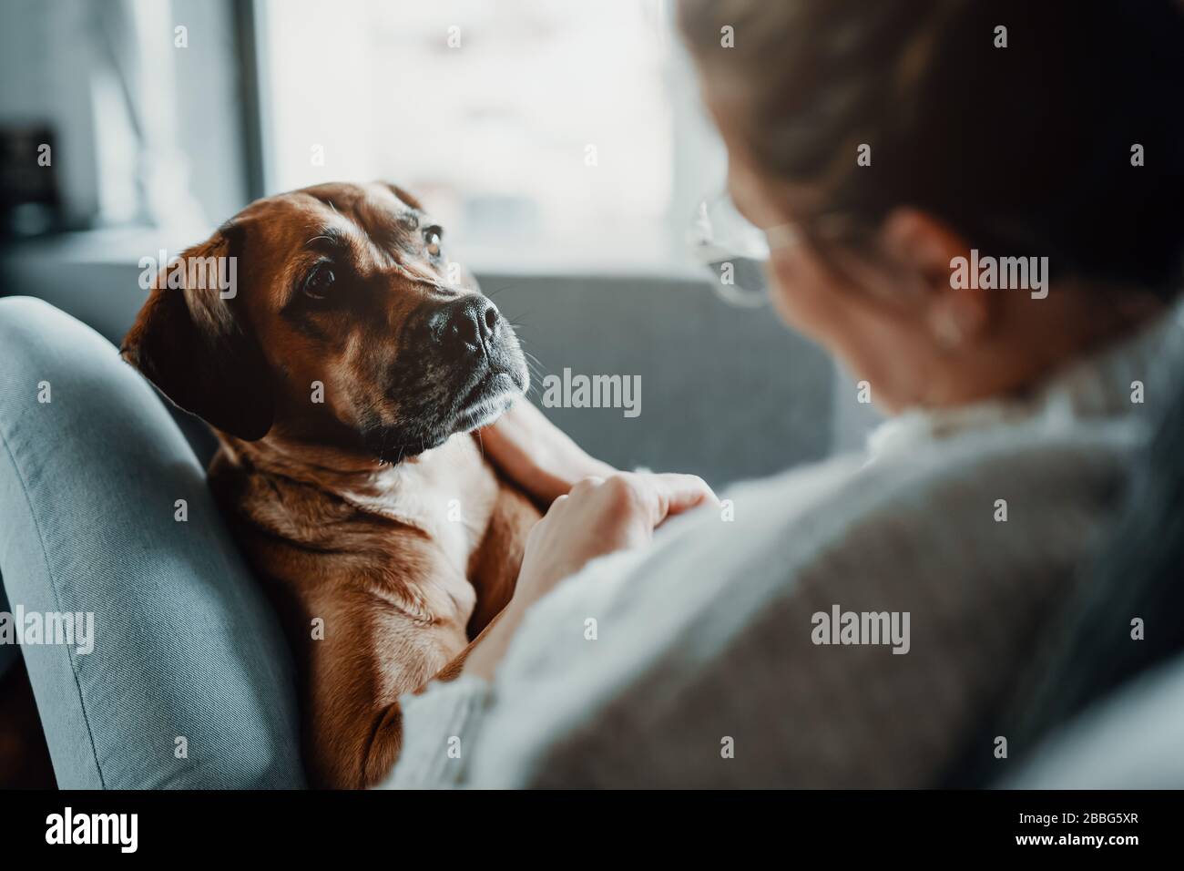 Frau kuscheln, spielt mit ihrem Hund zu Hause wegen der Corona-Virus-Pandemie Kovid-19 Stockfoto