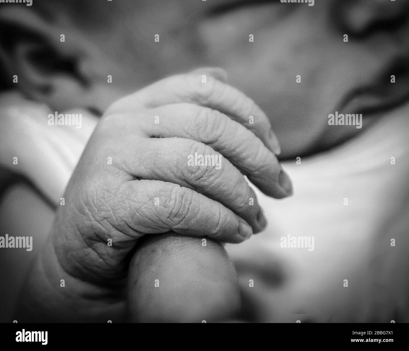 Neugeborenes Baby fasst den Finger. Schwarz-Weiß-Bild Stockfoto