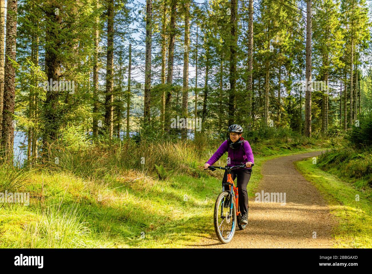 Ein Radfahrer auf dem Lakeside Way, eine 26 Meilen lange Rundradstrecke rund um Kielder Water, Kielder, Northumberland, Großbritannien. Oktober 2018. Stockfoto