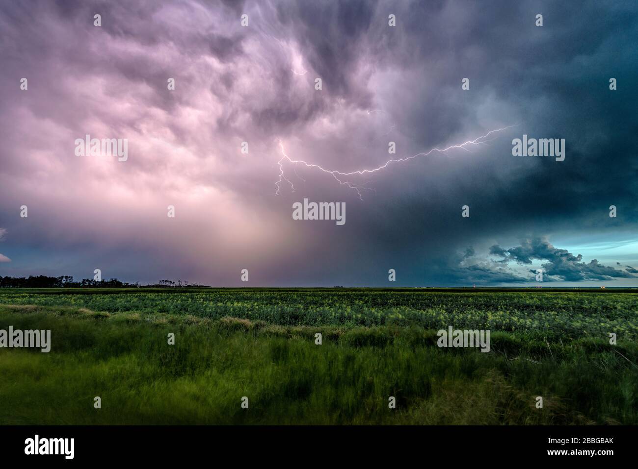 Sturm mit Blitzschlag über dem Feld im ländlichen Süden Manitobas Kanadas Stockfoto