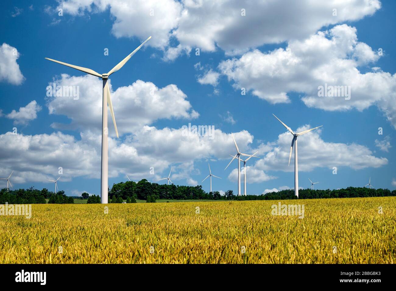 Windmühlen oder Windenergieanlagen in der Nähe von Shelburne und Singhampton, Ontario, Kanada, Nordamerika Stockfoto