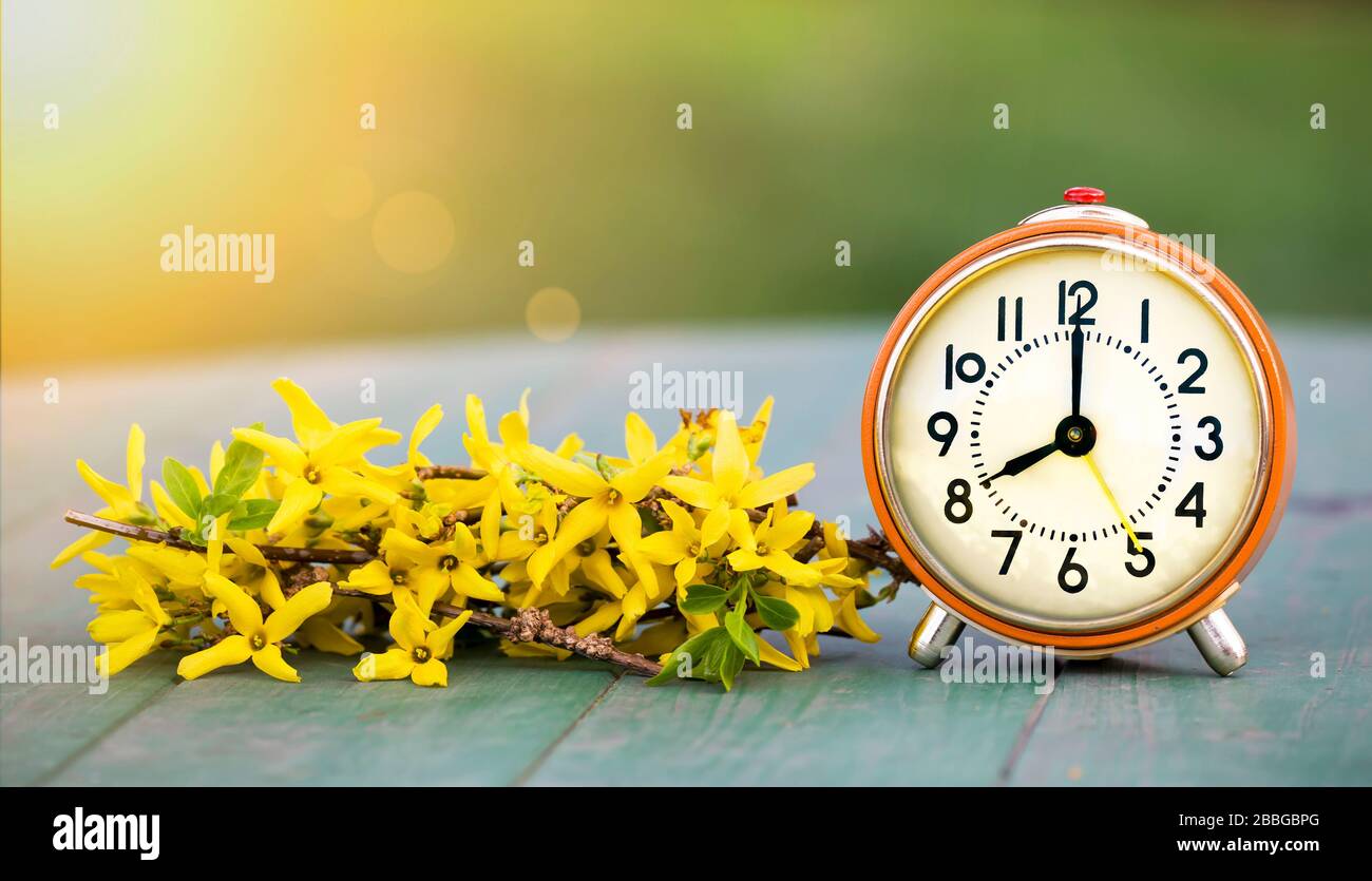 Sommerzeit, Frühlings-Forward-Konzept - Webbanner eines Retro-Weckers und gelber Blumen Stockfoto