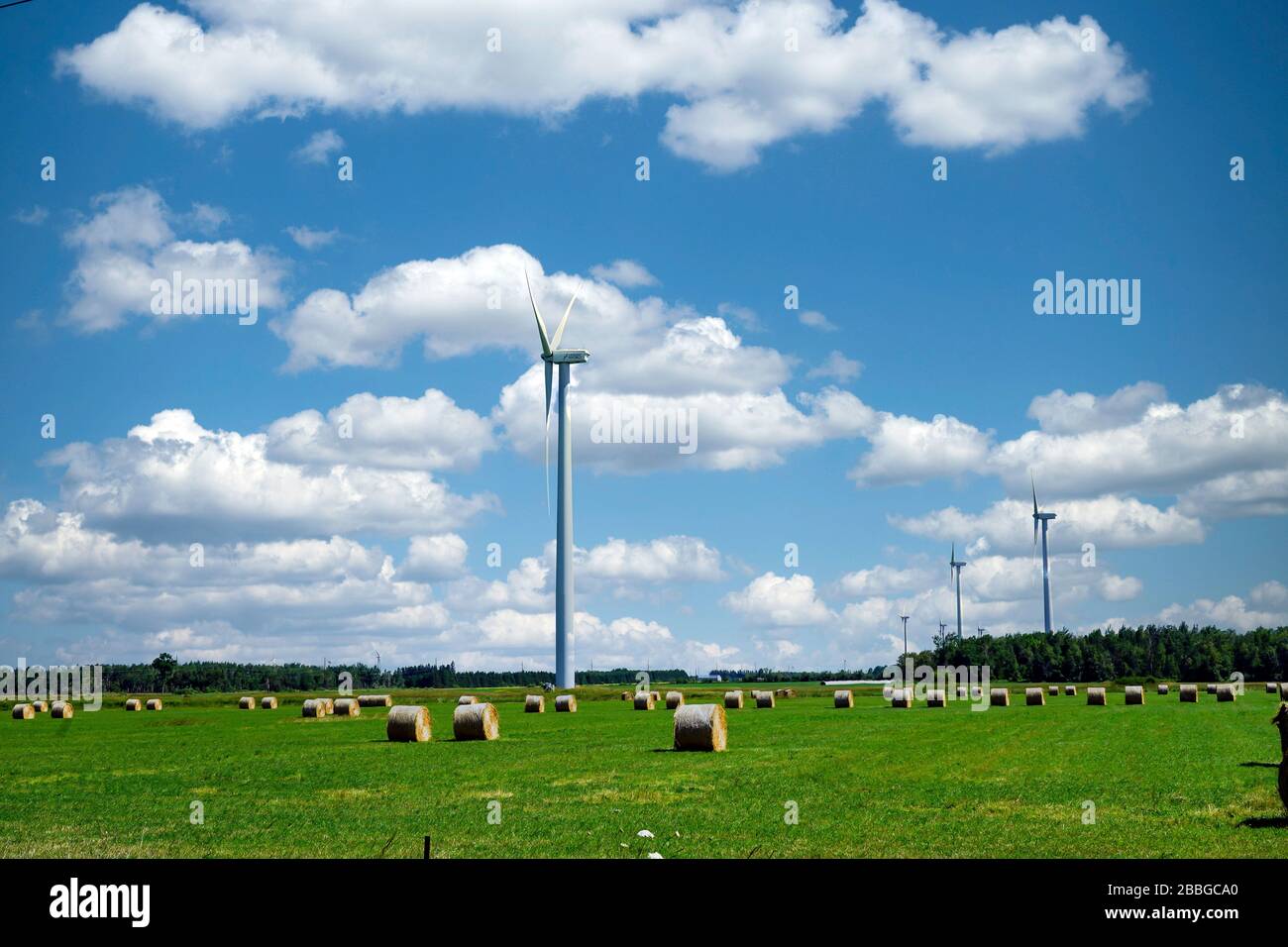 Windmühlen oder Windenergieanlagen in der Nähe von Shelburne und Singhampton, Ontario, Kanada, Nordamerika Stockfoto