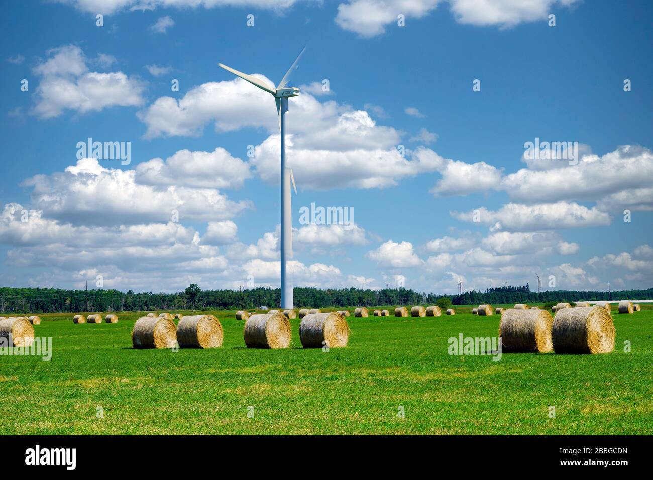 Windmühlen oder Windenergieanlagen in der Nähe von Shelburne und Singhampton, Ontario, Kanada, Nordamerika Stockfoto