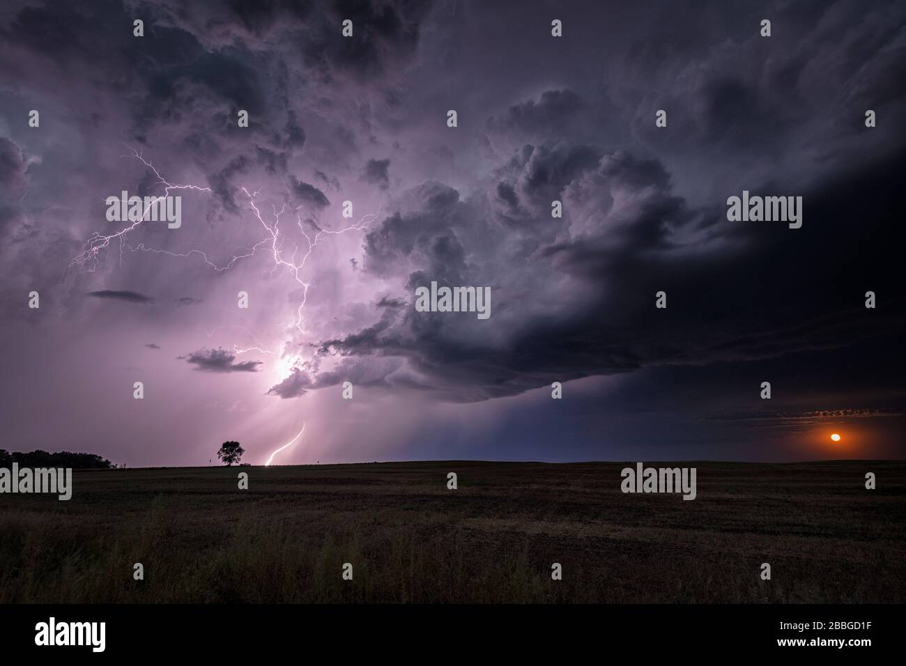 Ein steigender Mond und ein Sturm mit Blitzschlag über dem Feld im ländlichen North Dakota der Vereinigten Staaten Stockfoto