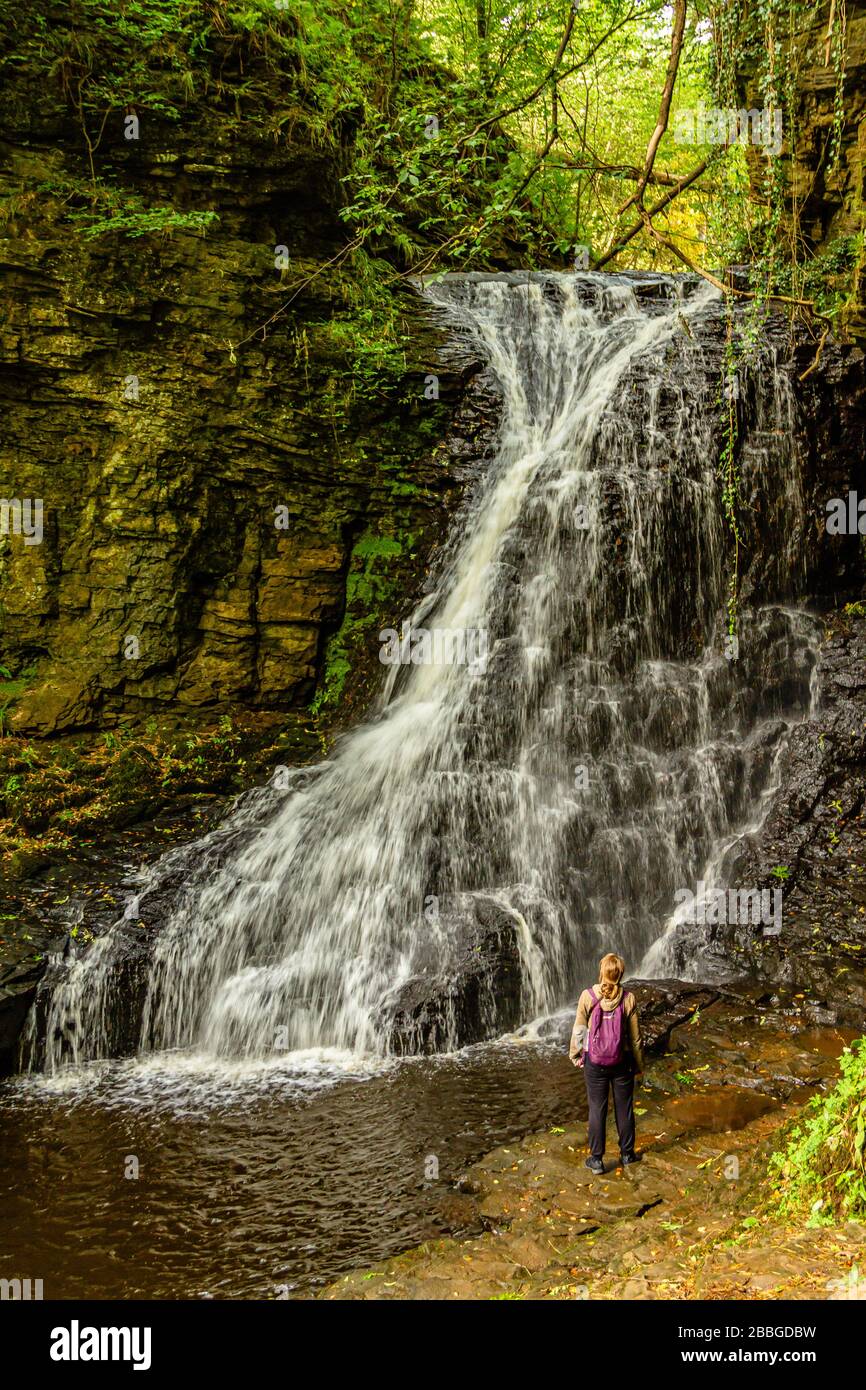 Walker neben Hareshaw Linn, einem 9 Meter hohen Wasserfall am Hareshaw Burn, in der Nähe von Bellingham, Northumberland National Park, Großbritannien. September 2018. Stockfoto