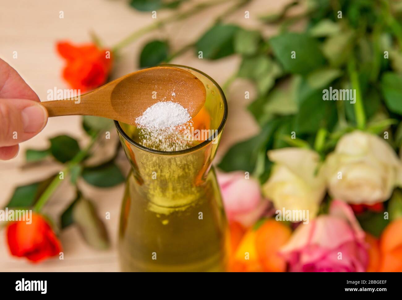 Person, die weißes Blumennahrungspulver in die geschnittene Blumenvase einfügt, damit Schnittblumen länger frisch bleiben. Stockfoto