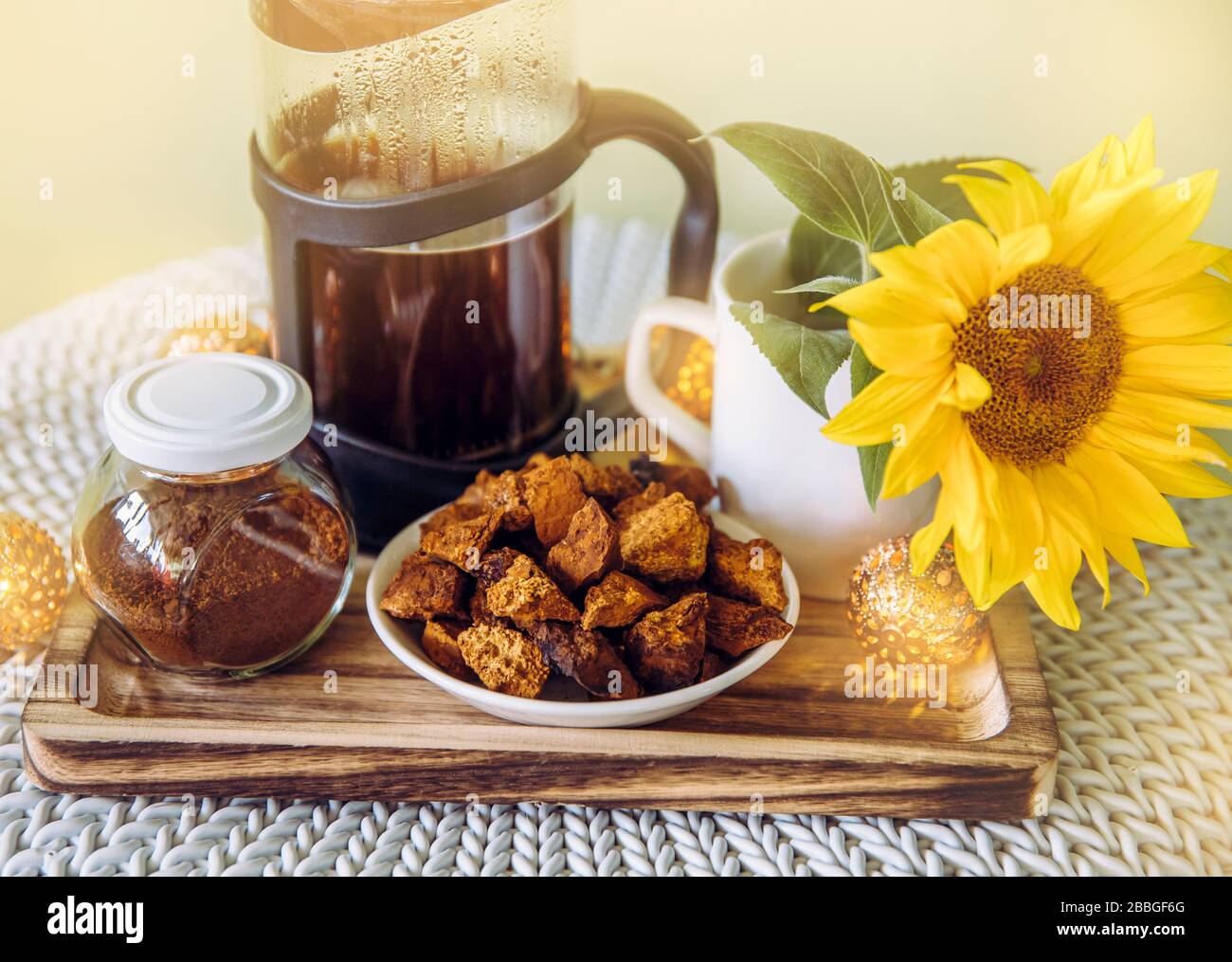 Natürliche chaga Pilz Pulver im Glas und Stücke auf Platte, Inonotus obliquus für eine gesunde Kaffee. Gesundheit benefist des Trinkens chaga infundiert Coffe Stockfoto