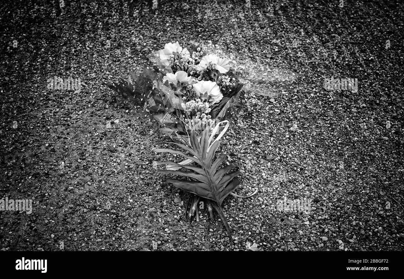 Blumen auf dem Friedhof am Tag der Toten, des Christentums und des Glaubens Stockfoto
