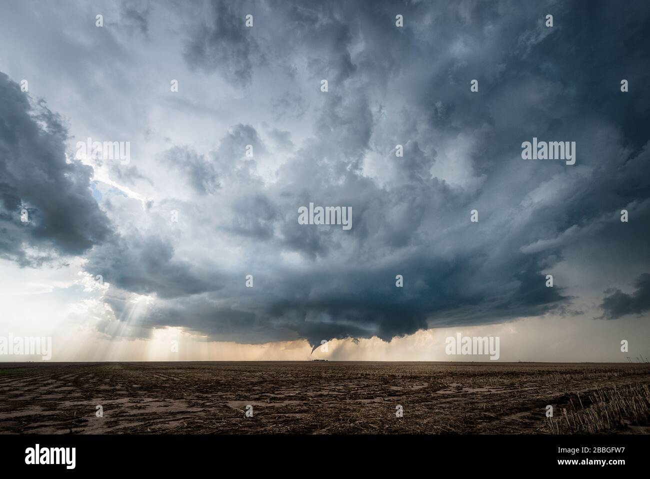 Tornado bildet sich über einem Feld in Dodge City Kansas Vereinigten Staaten Stockfoto