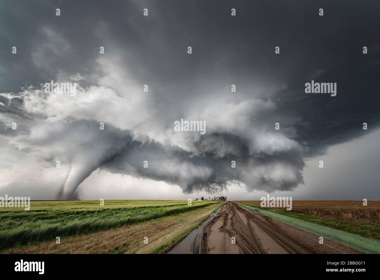 3 Tornados berühren sich über ein Feld in Dodge City, Kansas, Vereinigte Staaten Stockfoto