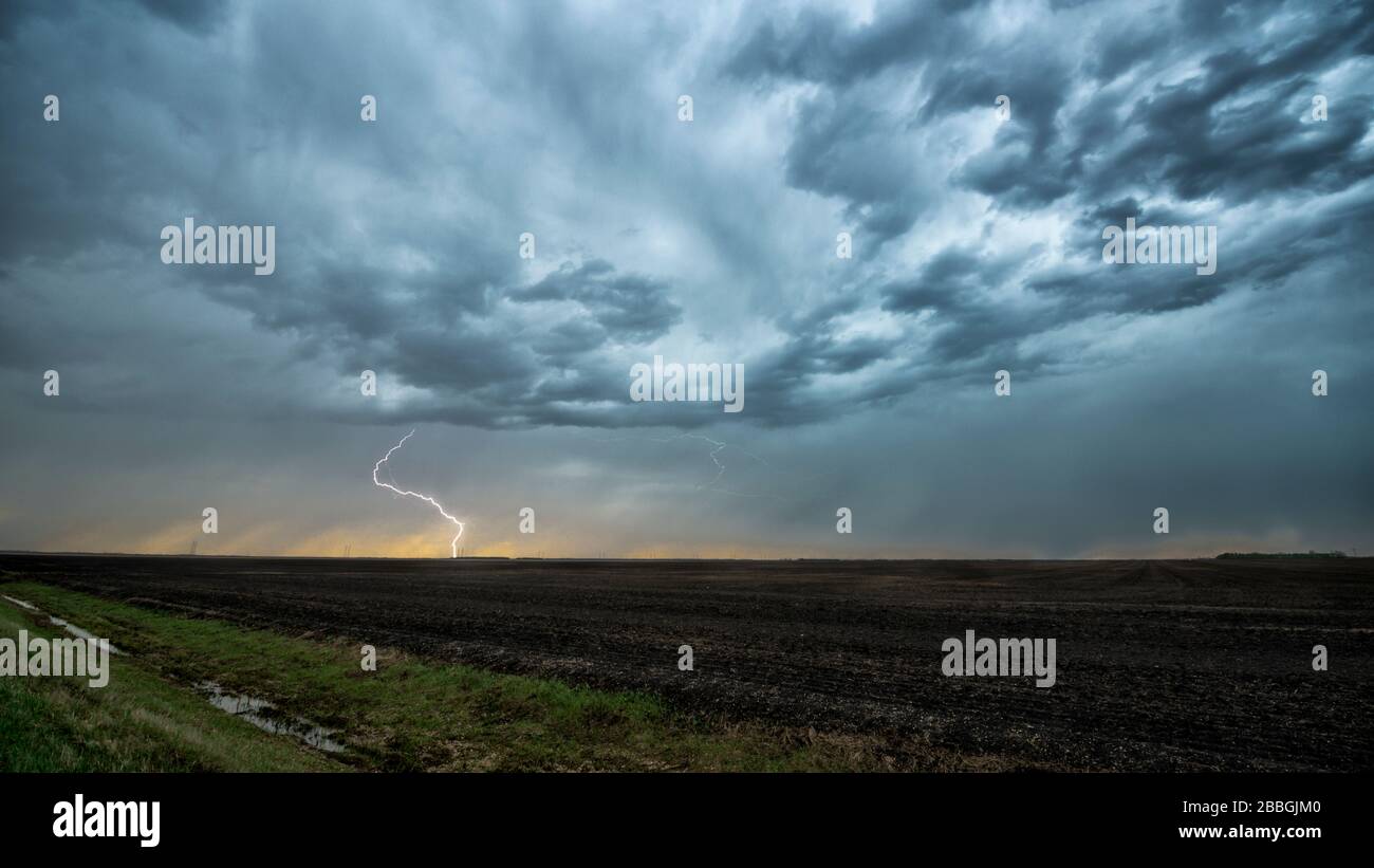 Sturm mit Blitzschlag über Feld im ländlichen Süden Manitobas Kanadas Stockfoto