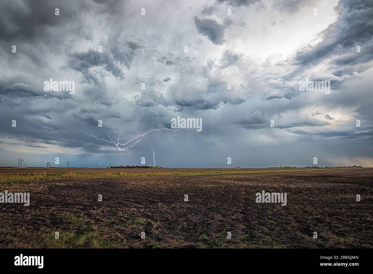 Blitzschlag über dem Feld im ländlichen Süden Manitobas Kanadas Stockfoto