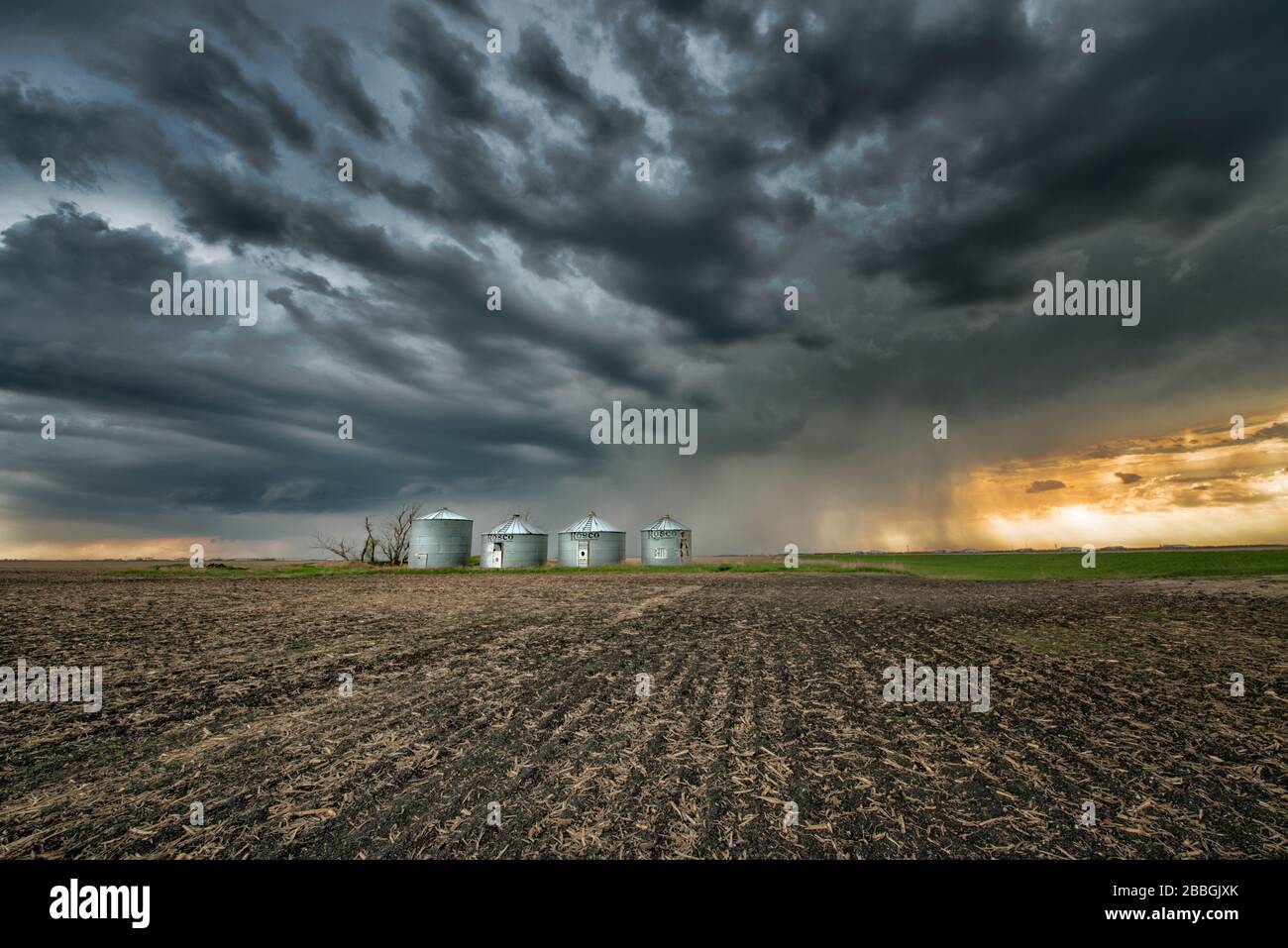 Stürmen Sie mit Regen über dem Feld mit Korntonnen im ländlichen Süden Manitobas Kanadas Stockfoto