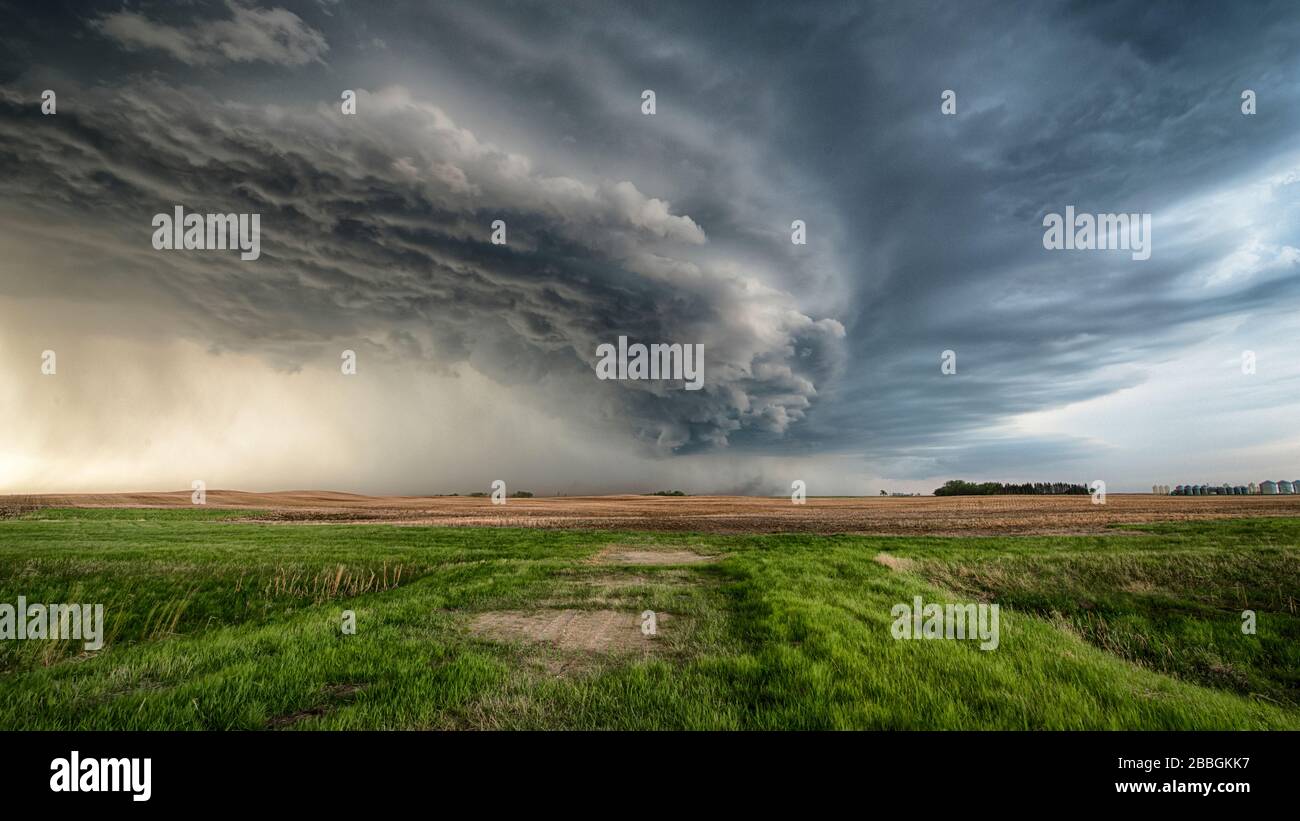 Sturmschelf Wolke rollt über ländlichem Feld im ländlichen Süden Manitobas Kanadas Stockfoto