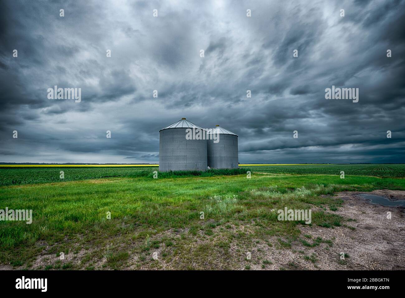 Sturm über Feld mit Korntonnen im ländlichen Süden Manitobas Kanadas Stockfoto